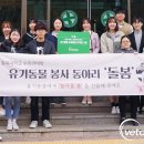 유기코리아 이미지