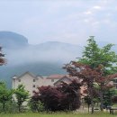 동강시스타 이미지