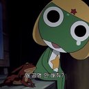 쥼