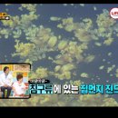 스마트크리닝 | 집먼지 진드기 걱정 끝🐞용인 비치움필승스마트홈케어 매트리스 클리닝 솔직후기