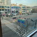 해멍달멍 | 인천애견카페 해멍달멍 후기