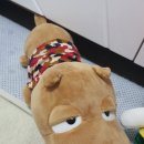 뽑기친구들 이미지
