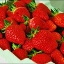 삼례농장 이미지