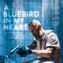 블루버드 호텔 이미지