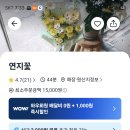 연지꽃 쿠팡이츠 주문가능 💝 이미지