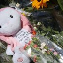 나라메디칼 이미지