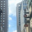 명동머드 이미지