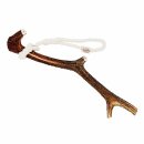 도그도마 이미지