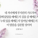 영미네일