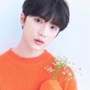 범규 카카오 검색결과