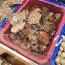 부전수산 네이버블로그