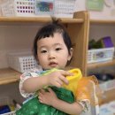 유준 소프트 이미지