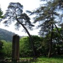 기장중학교 이미지