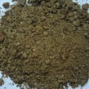 서귀포산업과학고등학교 이미지