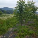 덕곡농장 이미지