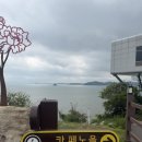 강진완도축협 | 강진 대형카페 카페노을,노을 맛집 카페노을,강진 오션뷰 카페 카페노을,강진카페 카페노을