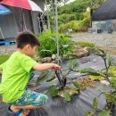 율이리농장 이미지