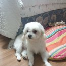 통일동물병원 이미지