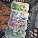 광지원초등학교 병설유치원 이미지