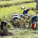 제31사단 503여단 이미지