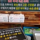 어쭈구이 이미지