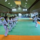 실버태권도 이미지