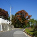 Metal-당산나무 | [ 전북 ] 2018, 부여 … 1. 익산 성당포구