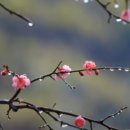 대지를 바라보며 네이버블로그