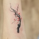 플럼블라썸(Plum Blossom) 이미지
