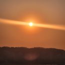 생명의 기쁨 | 부산 가자미회 ' 개림횟집 ' - 현지인만 아는 노포 집에서 즐긴 낮술 후기 (내돈내산)