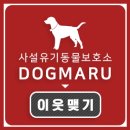 도그마루 이미지
