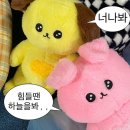 (주)지에스상사 | 도리스의 도라방스한 일상,