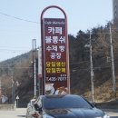 블롱쉬 이미지