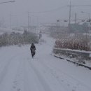 낭만느림보 이미지