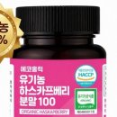 베리홀릭