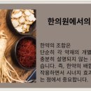 마포인삼