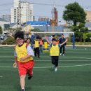 영천초등학교 이미지