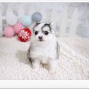 상상메디케어 이미지