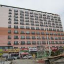 대선월드피아 이미지