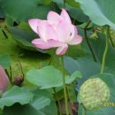 입암주유소 이미지