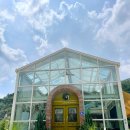 4월의밀밭 이미지