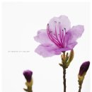 장산보건지소 이미지