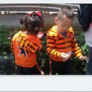 거송농장 이미지