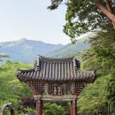 천은사 - 1455 | 천은사(전남 구례) 템플스테이 후기