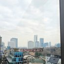 주식회사강남중앙부동산중개법인 이미지