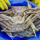 유림상회 이미지