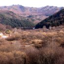 비밀정원12 이미지