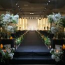 푸르미르 이미지