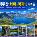 동해여행사