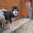 모터박스 이미지